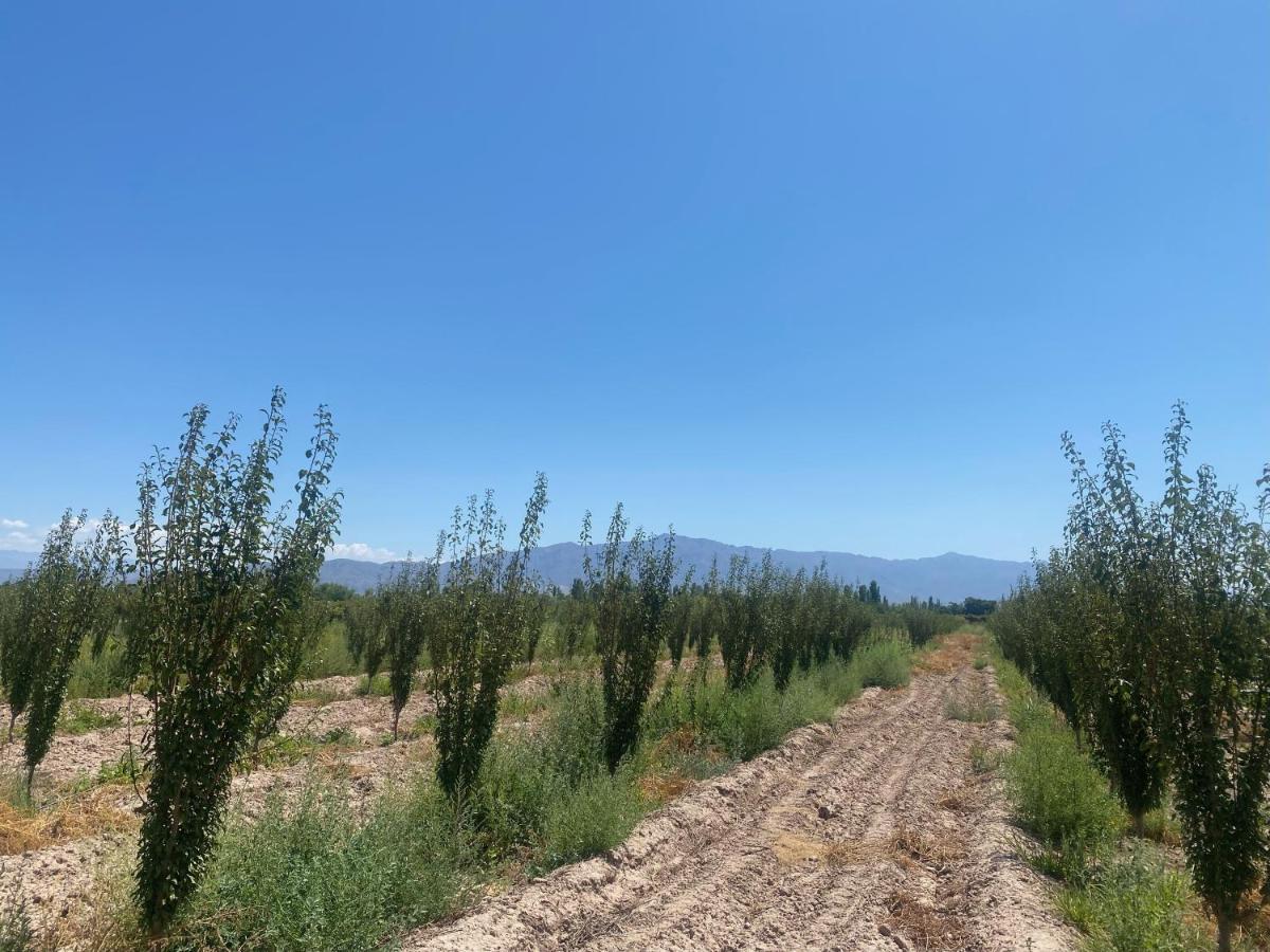 Vila El Rincon Del Nene Albardón Exteriér fotografie